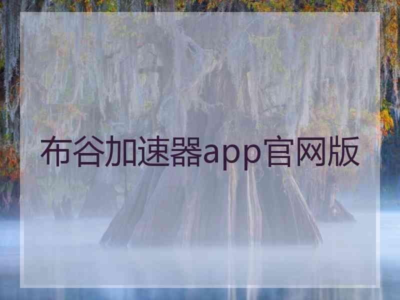 布谷加速器app官网版