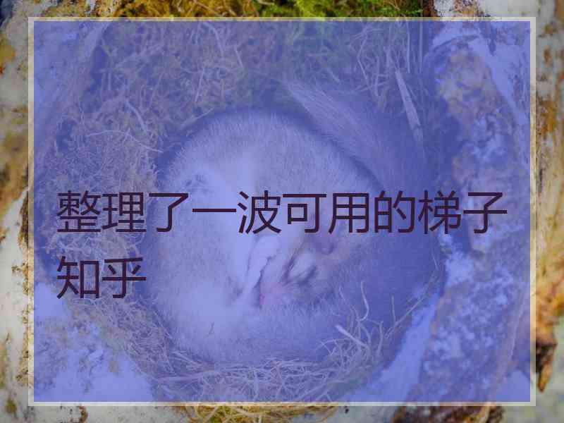 整理了一波可用的梯子知乎