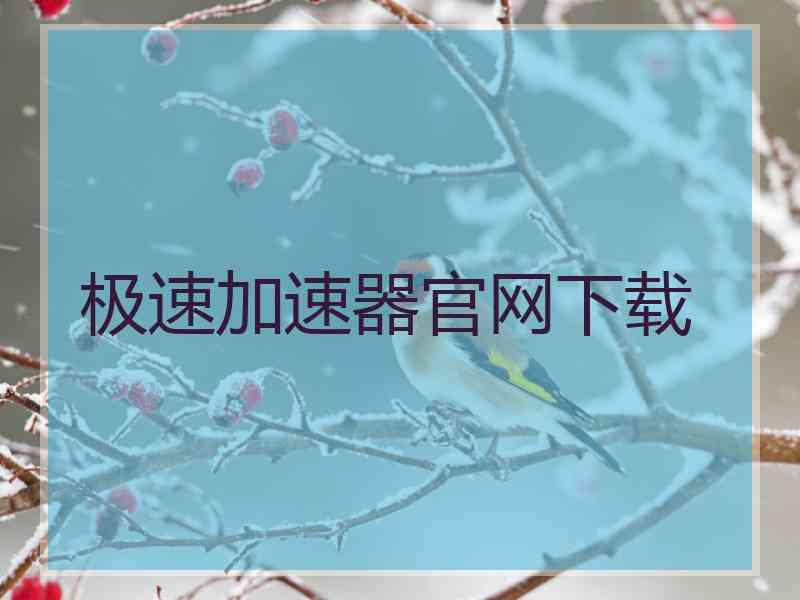 极速加速器官网下载