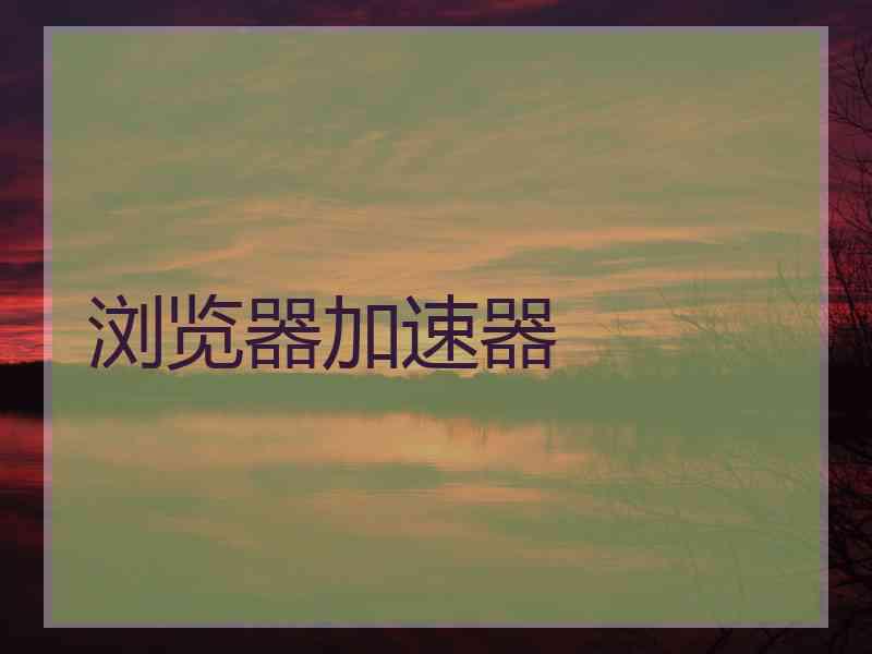 浏览器加速器