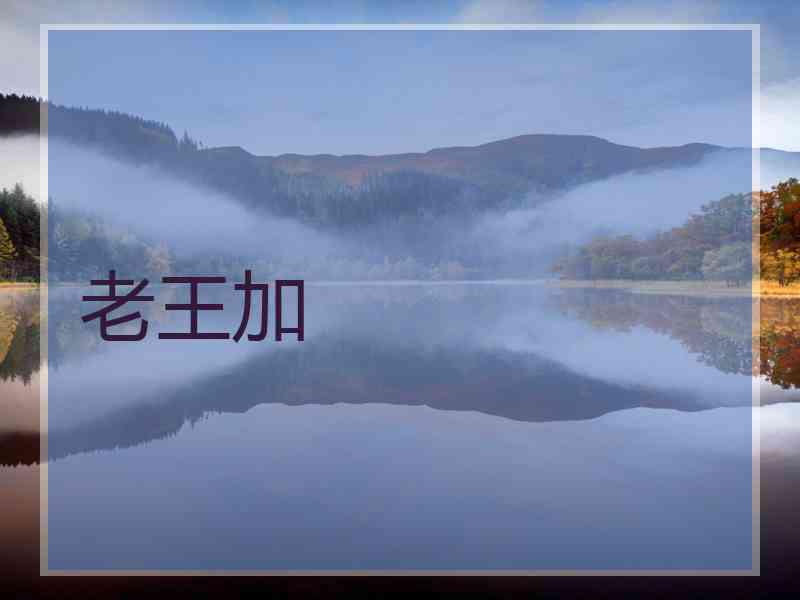 老王加