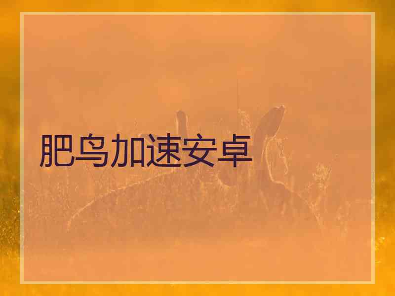 肥鸟加速安卓