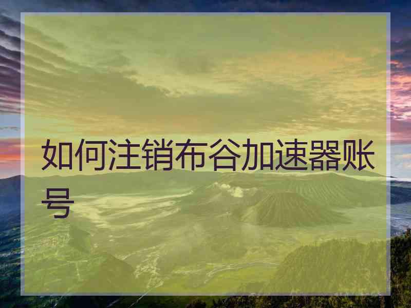 如何注销布谷加速器账号