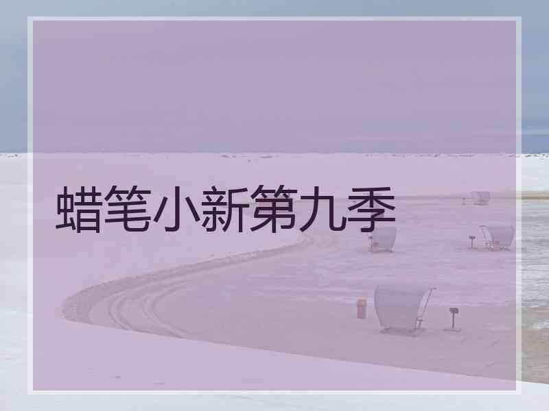 蜡笔小新第九季