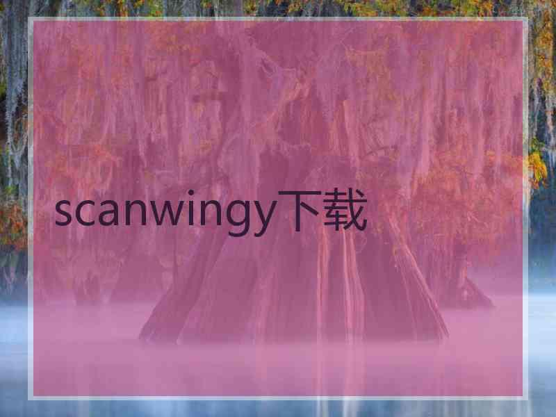 scanwingy下载