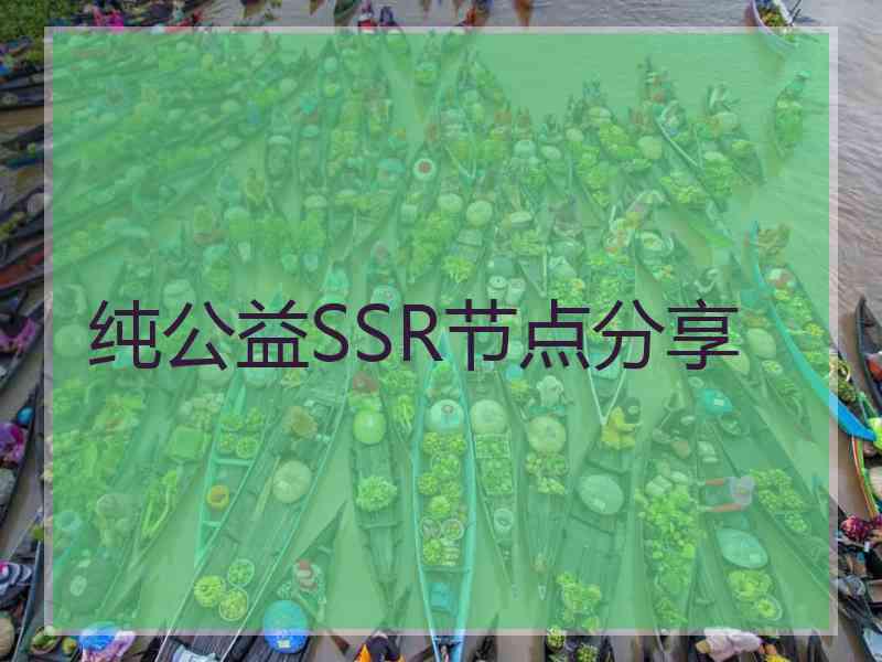 纯公益SSR节点分享