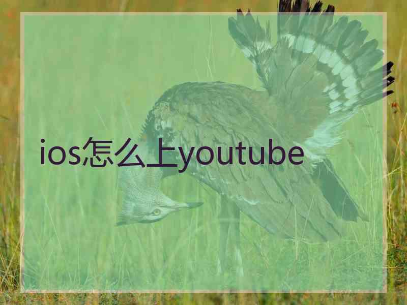 ios怎么上youtube