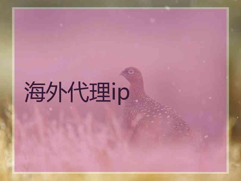 海外代理ip