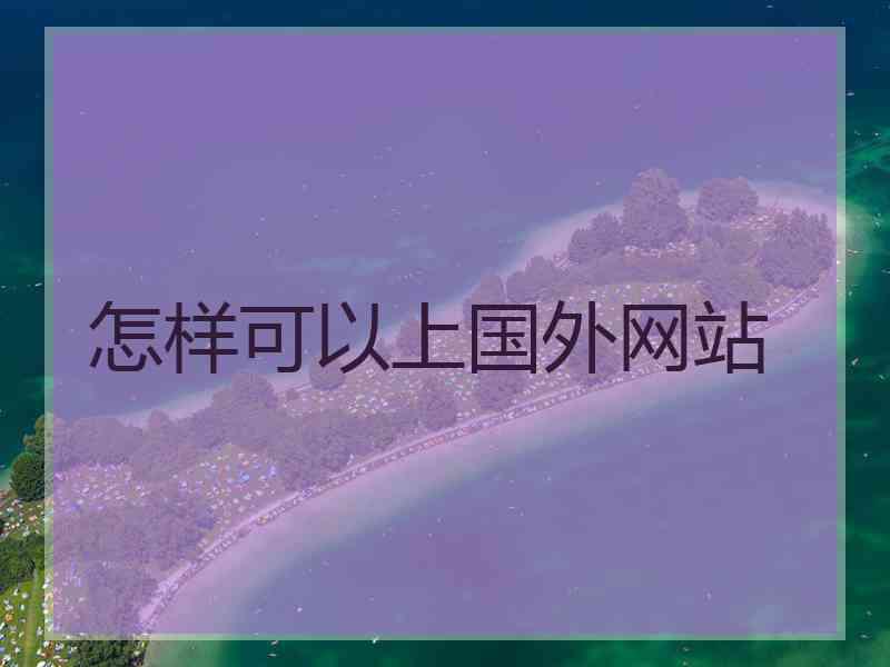 怎样可以上国外网站
