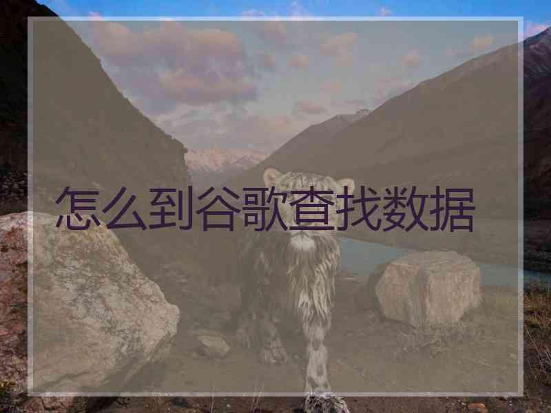 怎么到谷歌查找数据