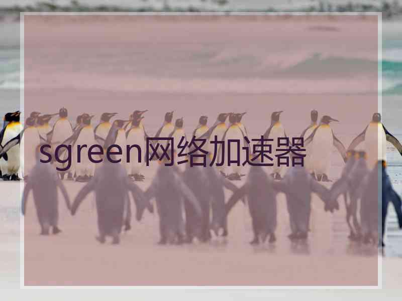 sgreen网络加速器