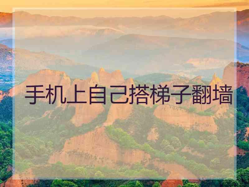手机上自己搭梯子翻墙