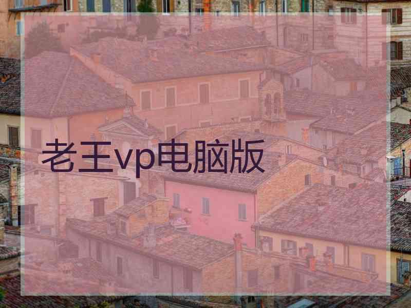 老王vp电脑版