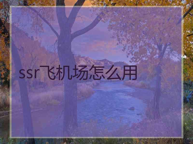 ssr飞机场怎么用