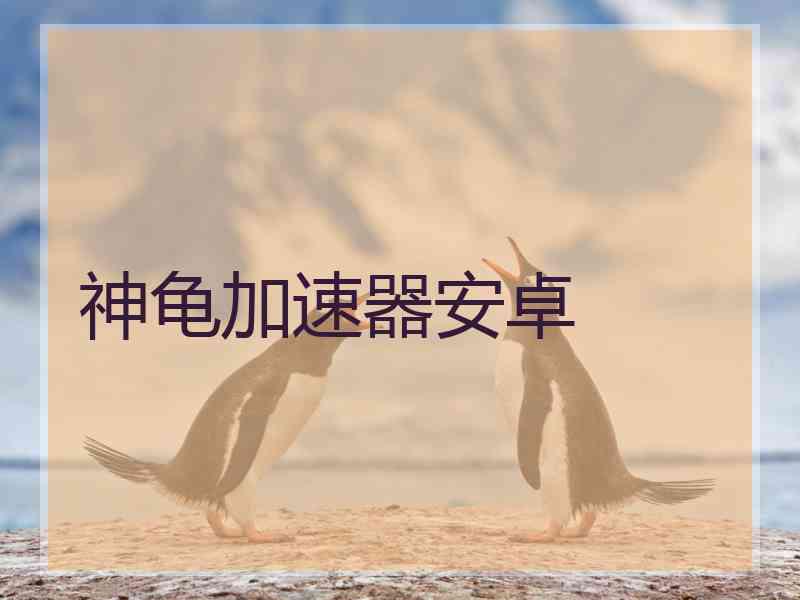 神龟加速器安卓