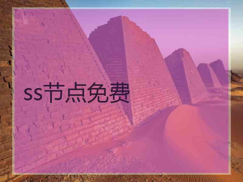 ss节点免费