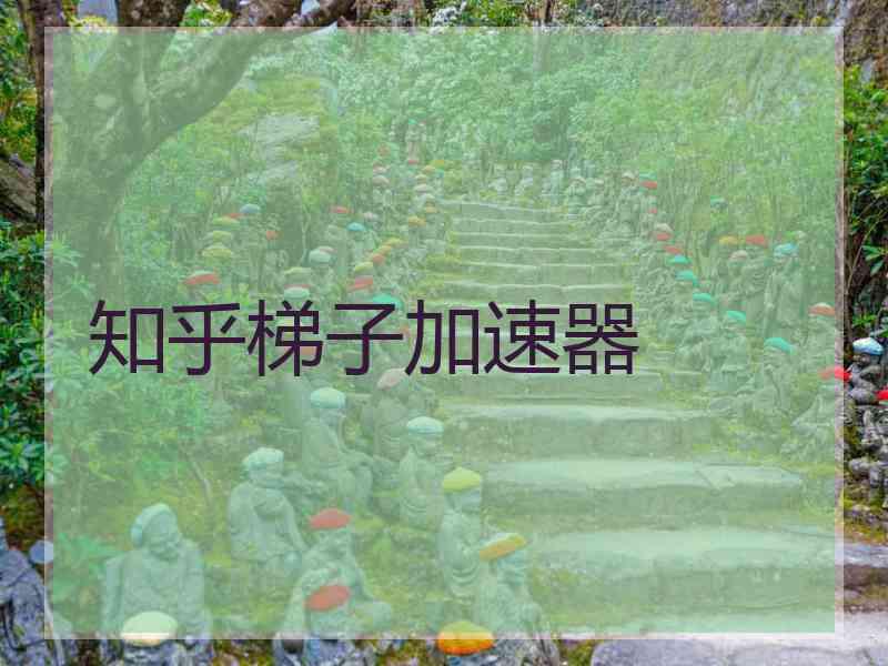 知乎梯子加速器
