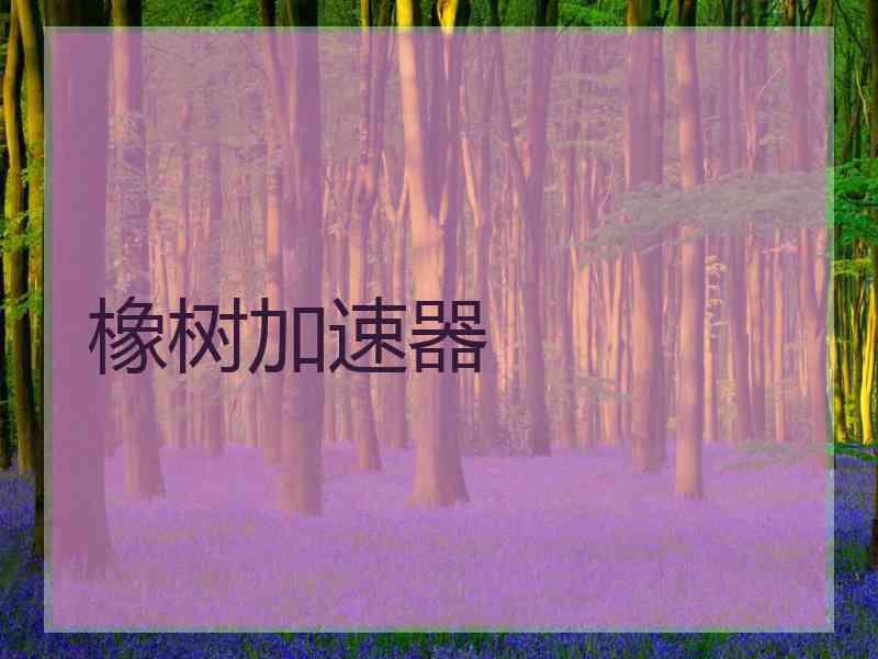 橡树加速器