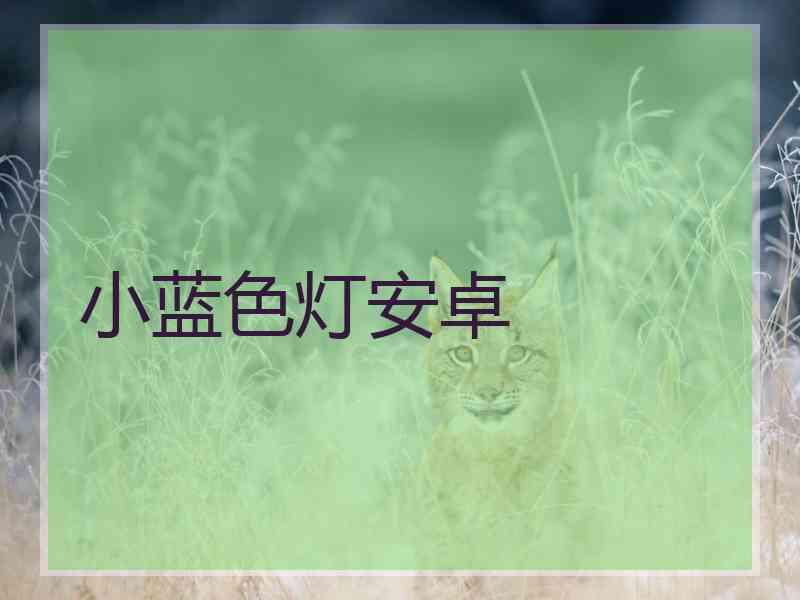 小蓝色灯安卓
