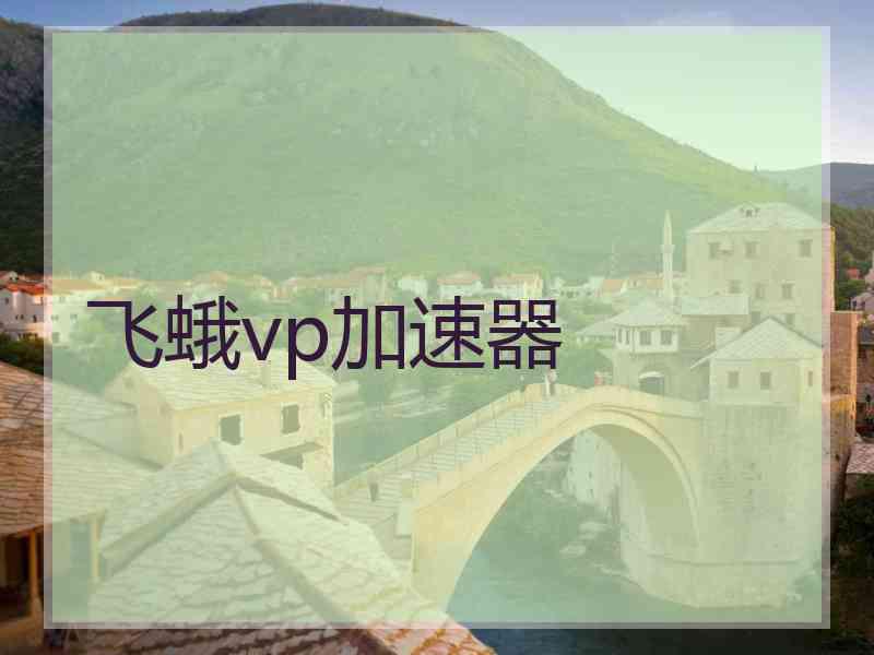 飞蛾vp加速器