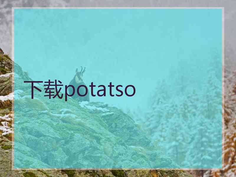 下载potatso