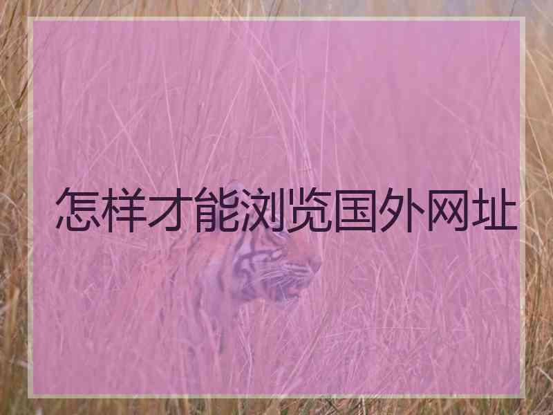 怎样才能浏览国外网址