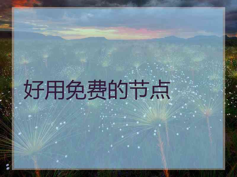 好用免费的节点