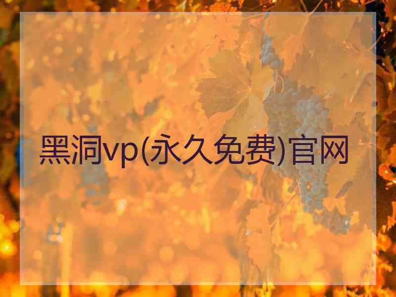 黑洞vp(永久免费)官网