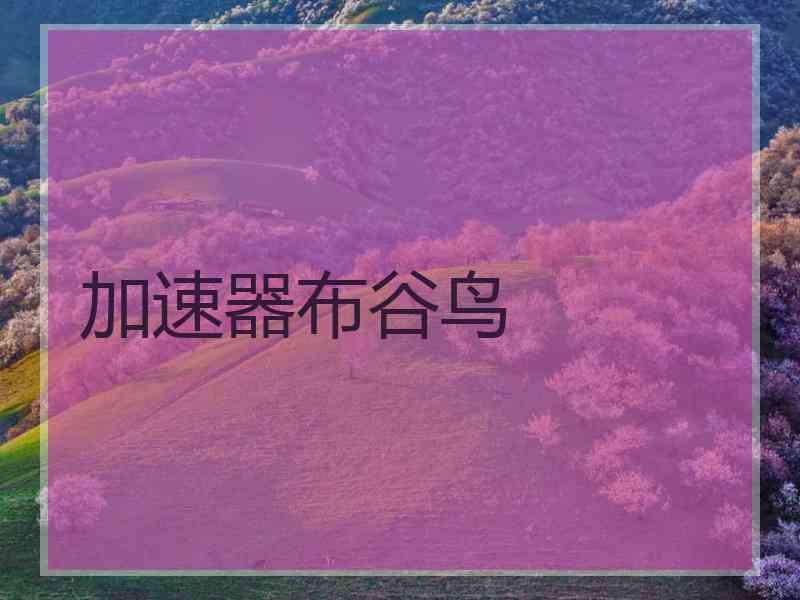 加速器布谷鸟