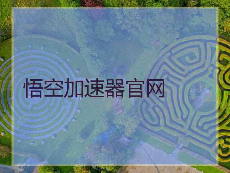 悟空加速器官网