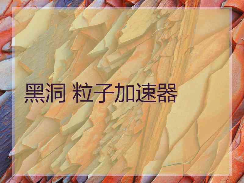 黑洞 粒子加速器