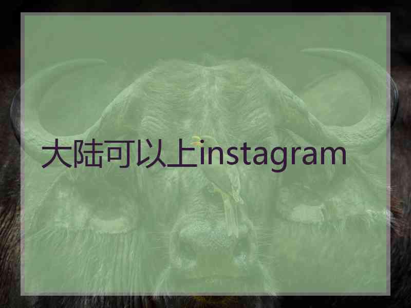 大陆可以上instagram