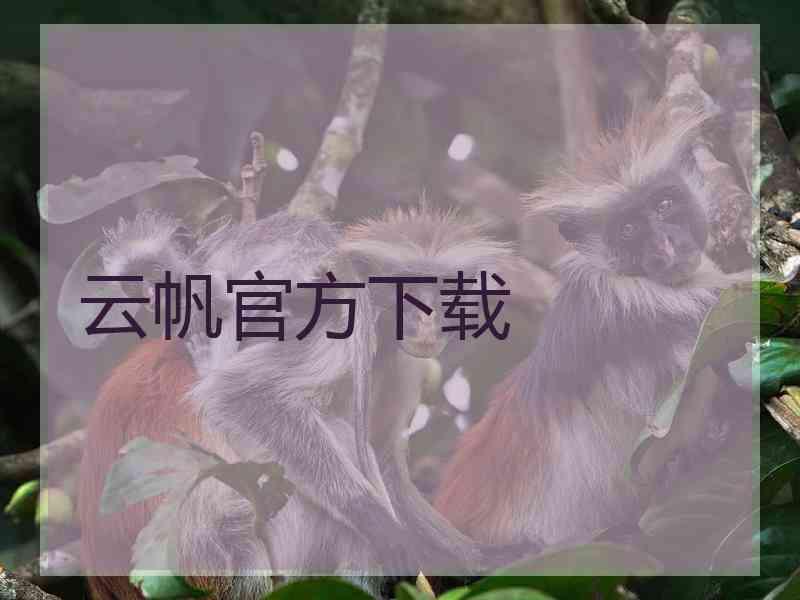 云帆官方下载