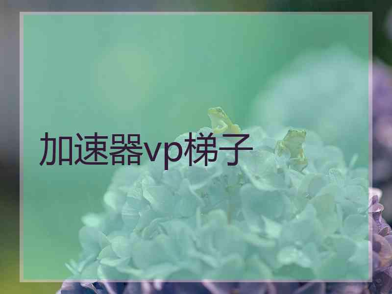 加速器vp梯子