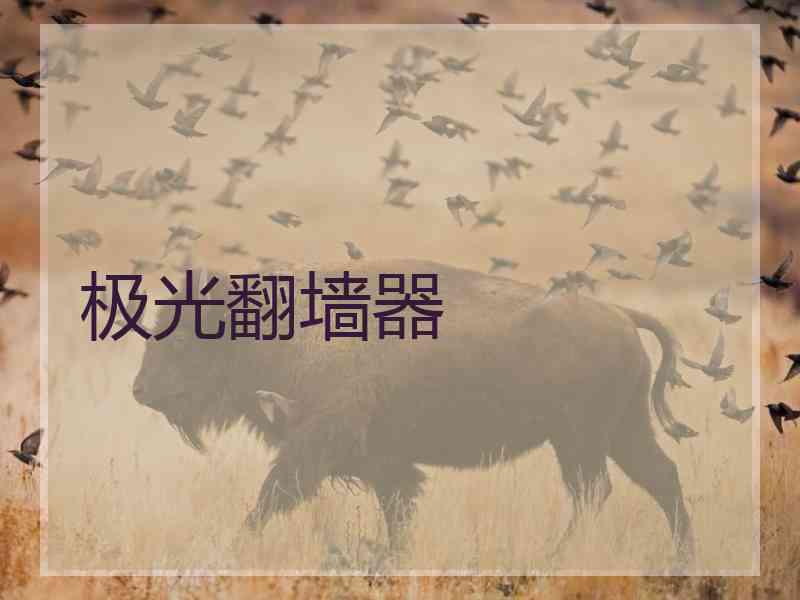 极光翻墙器