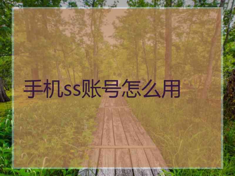 手机ss账号怎么用