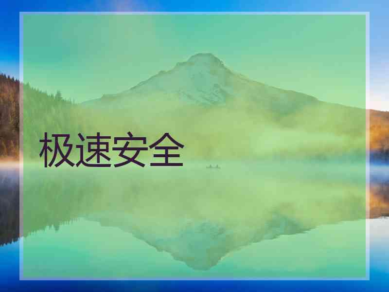 极速安全