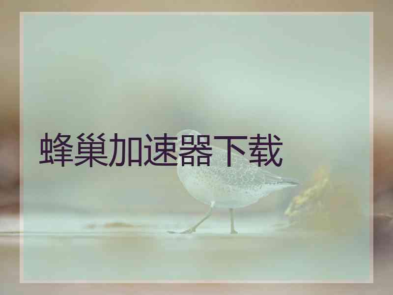 蜂巢加速器下载