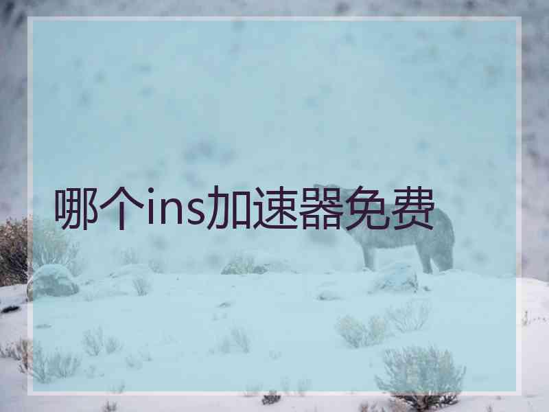 哪个ins加速器免费