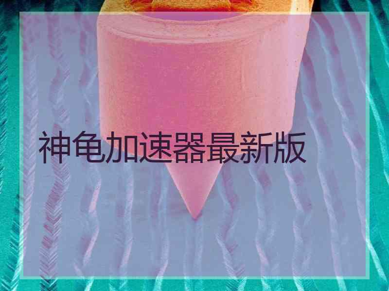 神龟加速器最新版