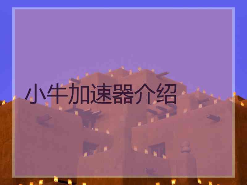小牛加速器介绍