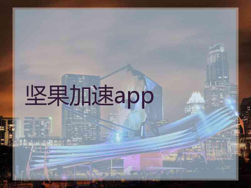 坚果加速app