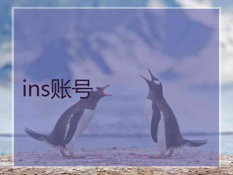 ins账号