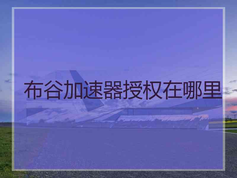 布谷加速器授权在哪里