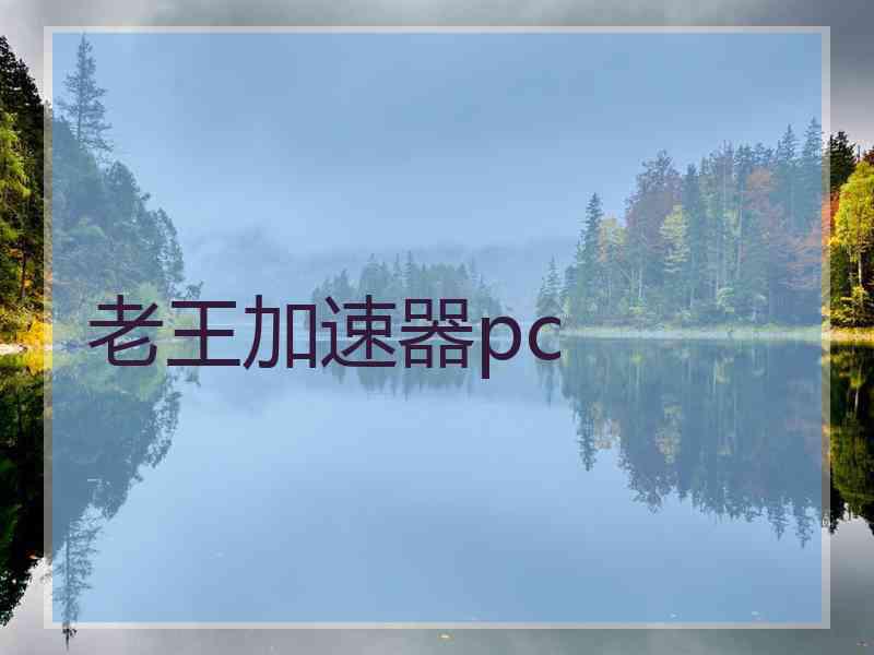 老王加速器pc