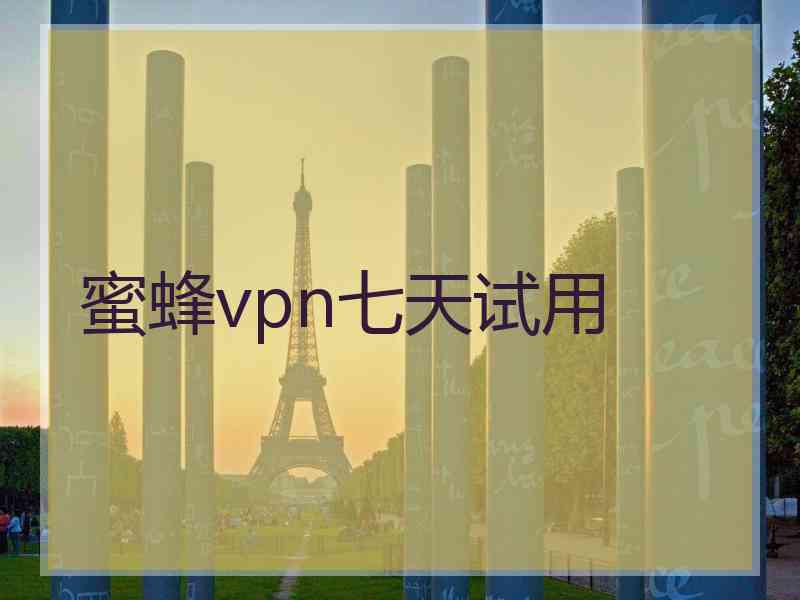 蜜蜂vpn七天试用
