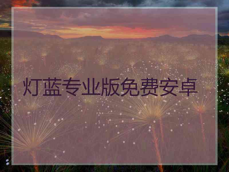 灯蓝专业版免费安卓