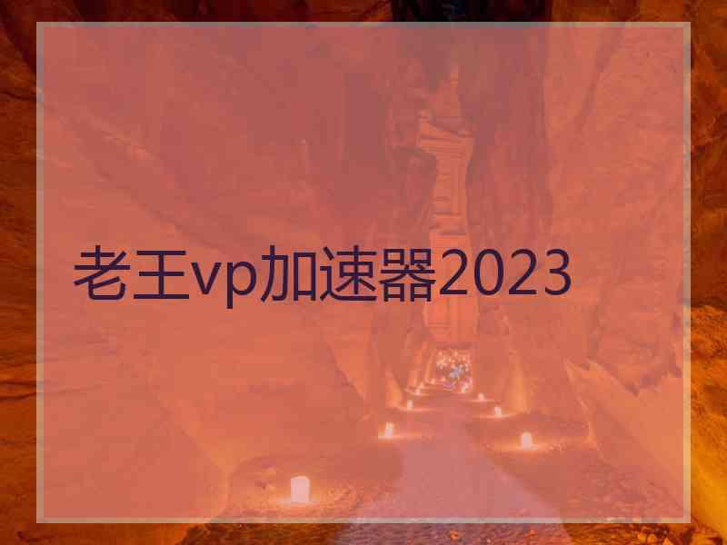 老王vp加速器2023