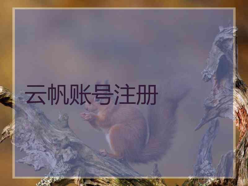 云帆账号注册