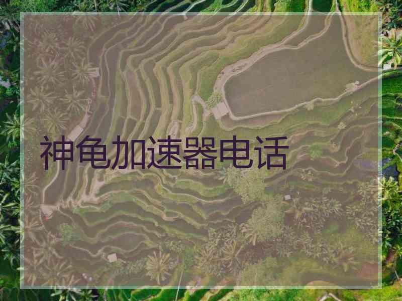 神龟加速器电话